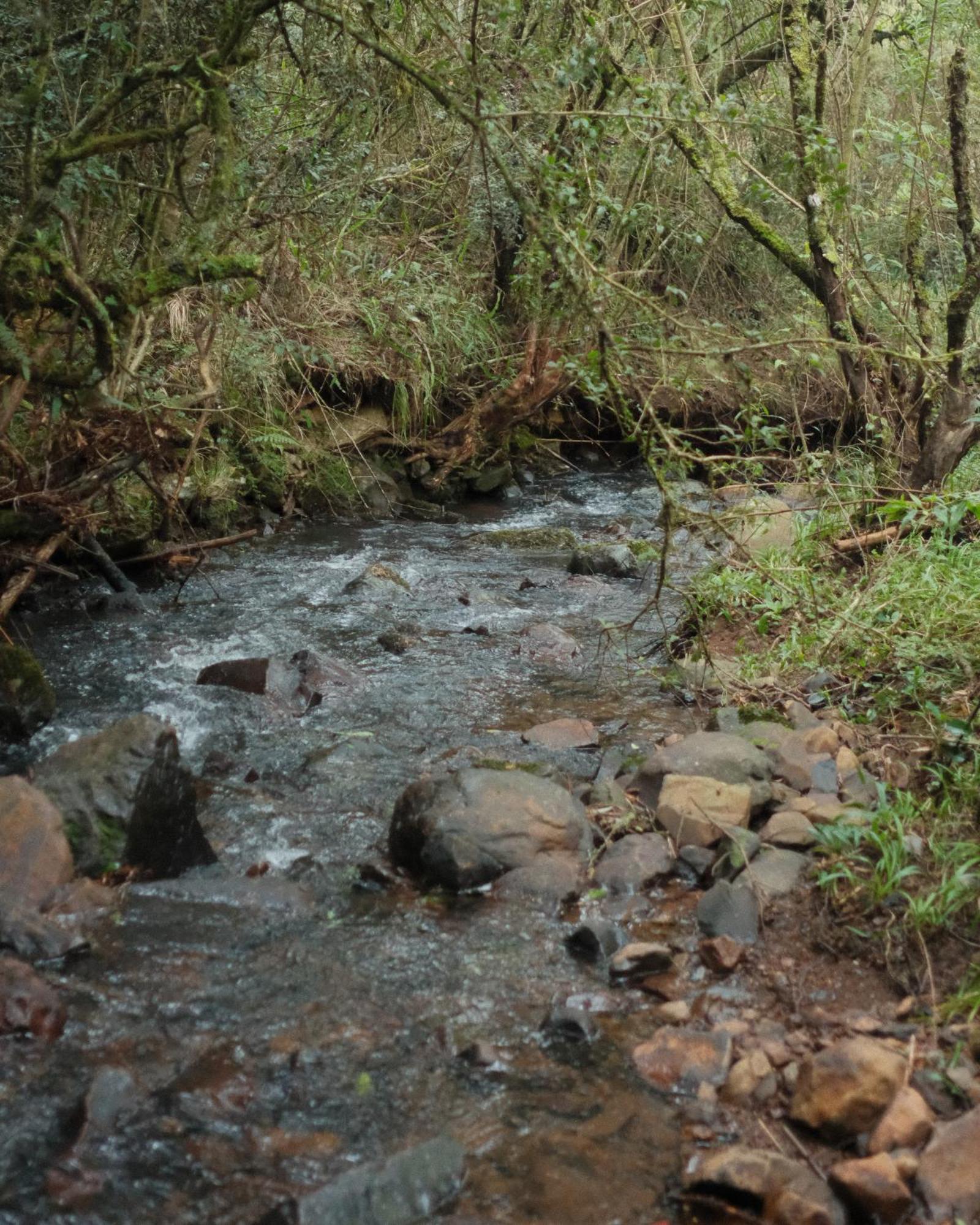 Parque Nacional Ecoresort أوروبيسي المظهر الخارجي الصورة